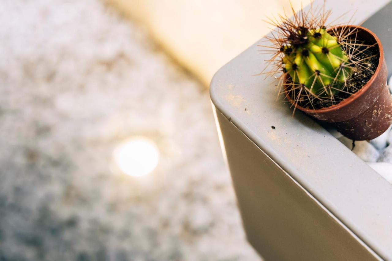 In Centro Da Viola - Eco Design Rooms Olbia Zewnętrze zdjęcie